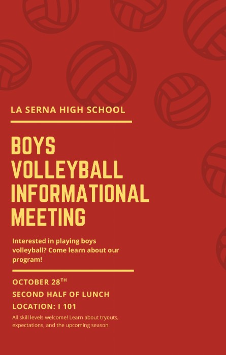 boys volleyball 